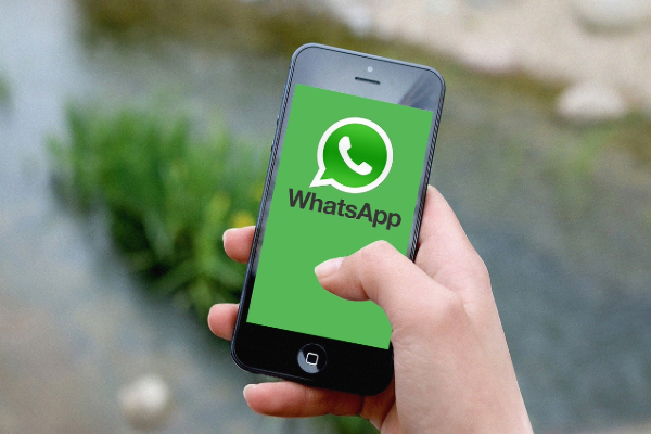 whatsapp planner